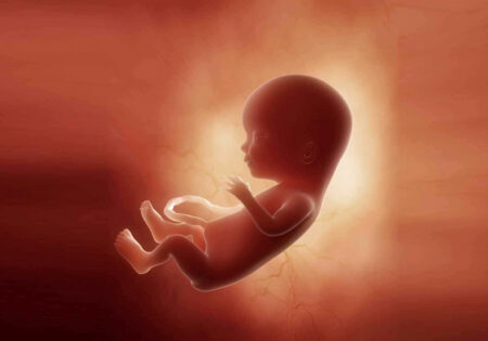 image-article6
