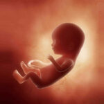 image-article6